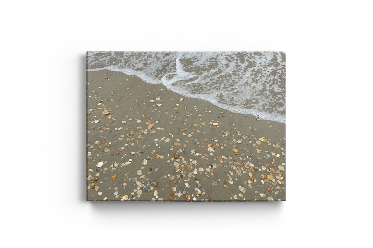 Shattered Seashells