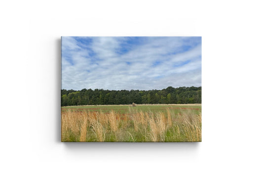 Cloudy Sky Grass Field