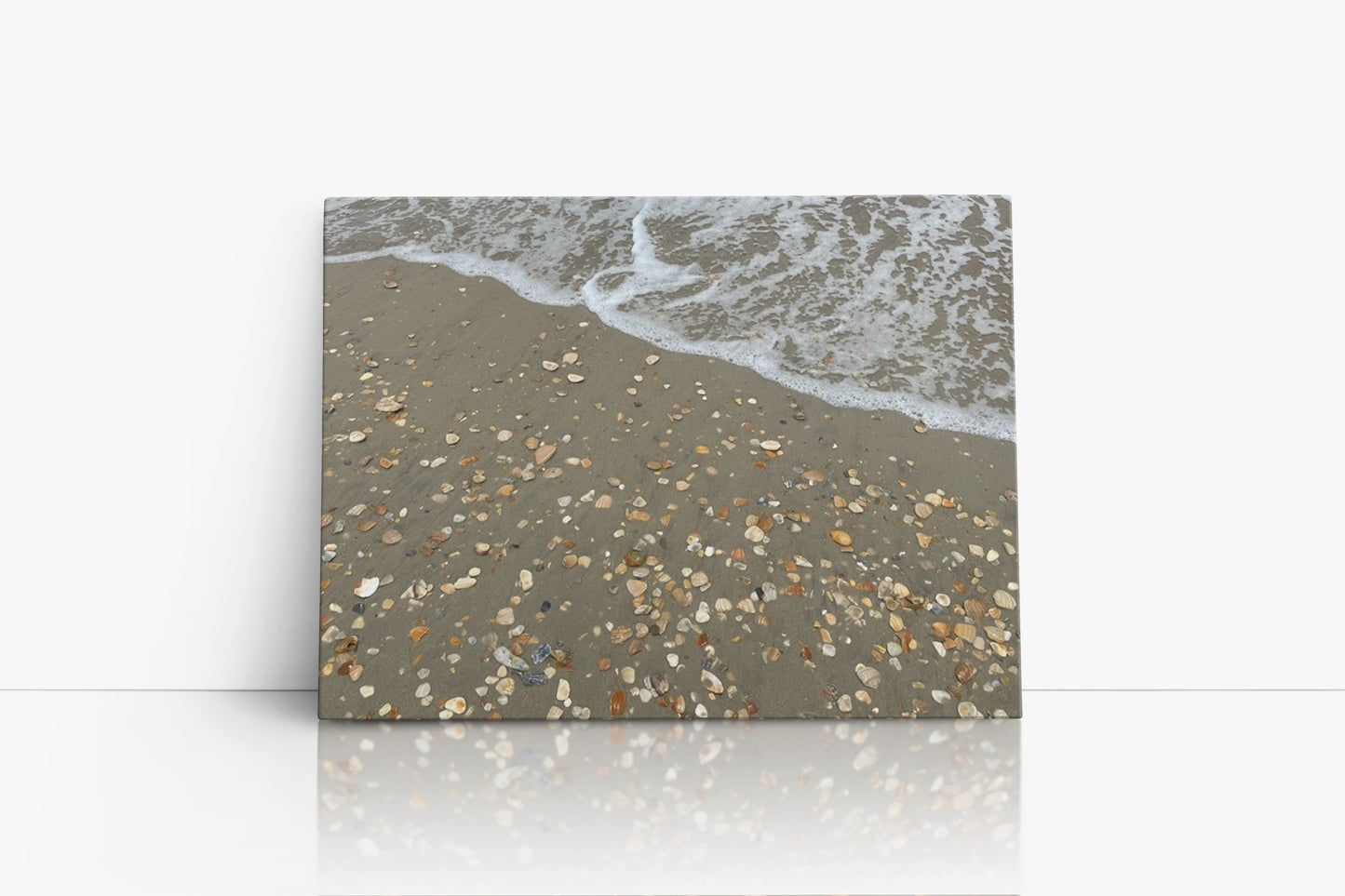 Shattered Seashells