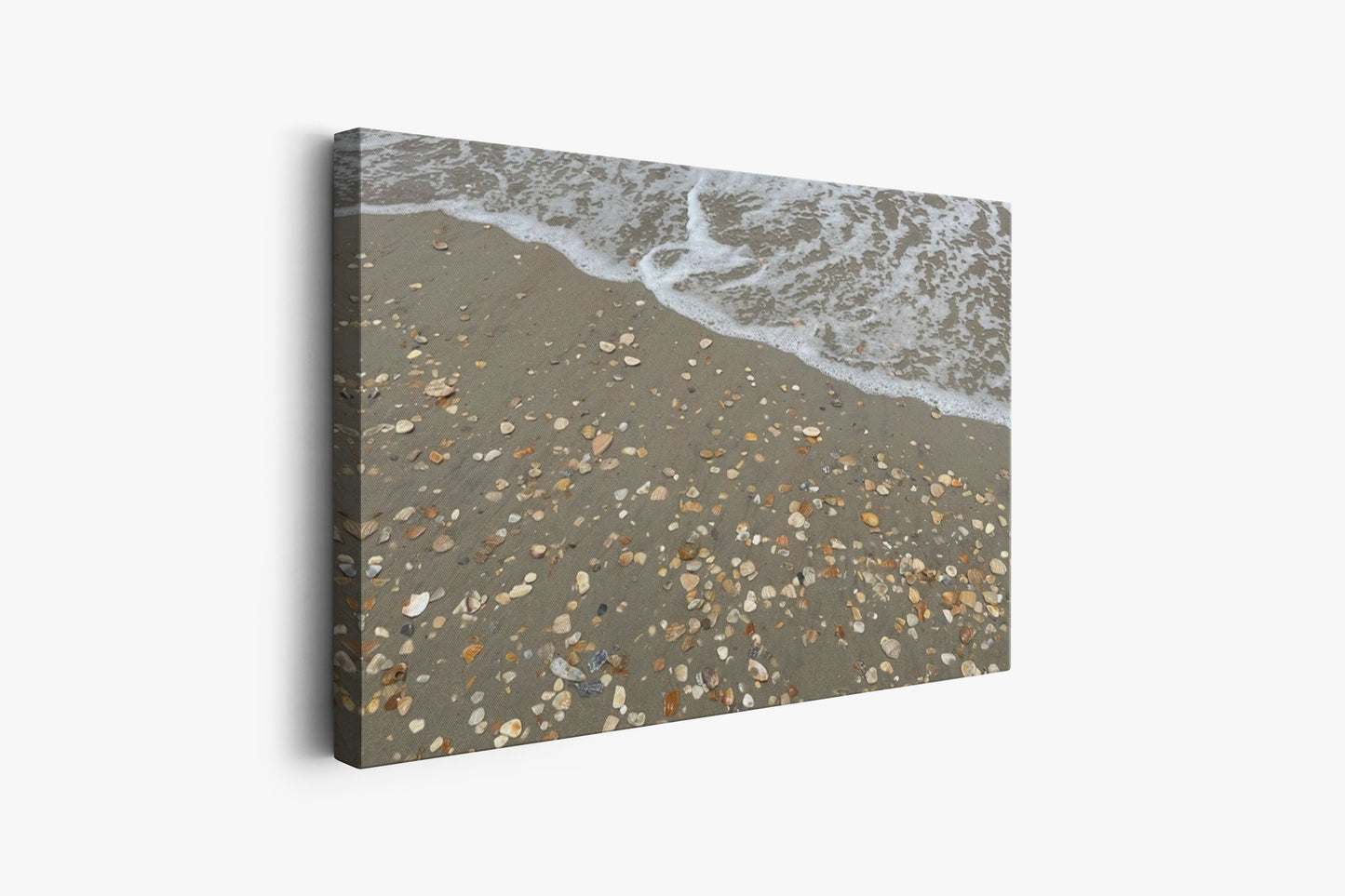 Shattered Seashells